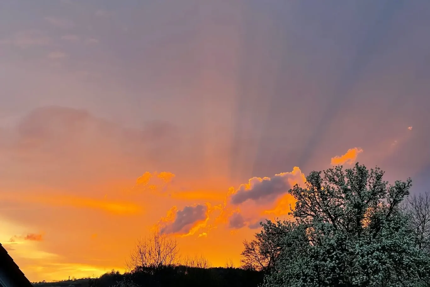 Gelebte ganzheitliche Medizin mit vielen Sonnenstrahlen Ich (Ärztin & Patientin) stehe mit meiner Heilung für gelebte ganzheitliche Medizin & integrative Medizin mit vielen Strahlen wie die Sonne