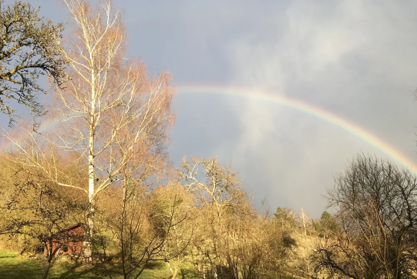 Brücke zur ganzheitlichen Heilung vielschichtig wie Regenbogen Herzensanliegen: Sensibilisierung für erweitertes Heilungspotenzial, KörperEnergieReise nach Dr. Katja Eissfeldt ®, Regenbogenbrücke spannen